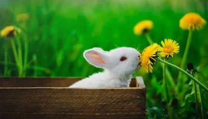 范曾女儿揭露：家父被神秘力量控制背后的真相